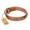 'Era of Future' FDT Artisan Handcrafted Tan Leather Rottweiler Dog Collar with Decorations