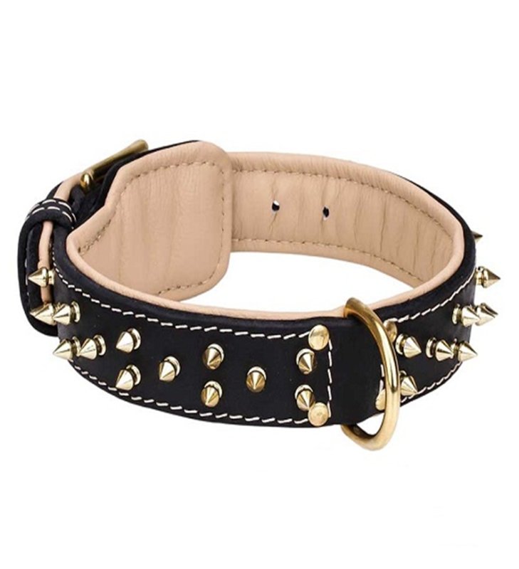 Unique Nappa Padded Leather Collar for Rottweiler