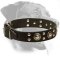Trendy Rottweiler Collar with Mixed Decorations