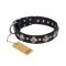'Silver Charm' FDT Artisan Quality Leather Collar with Plates and Studs for Rottweiler