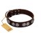 "High and Mighty" FDT Artisan Classy Brown Leather Rottweiler Collar with Embellished Brooches
