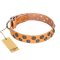 "Precious Sparkle" FDT Artisan Handcrafted Tan Leather Rottweiler Collar