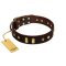 "Blinking Illusion" FDT Artisan Brown Leather Rottweiler Collar with Old Bronze-like Studs and Plates