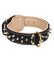 Unique Nappa Padded Leather Collar for Rottweiler