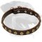 Gorgeous Leather Collar with doted circles for Rottweiler