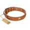 "Visual Magic" FDT Artisan Tan Leather Rottweiler Collar for Daily Activities