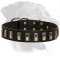 Well-designed Leather Collar for Rottweiler