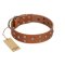 "Enchanted Skulls" FDT Artisan Tan Leather Rottweiler Collar with Chrome Plated Skulls