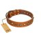 "Prez of the Pack" FDT Artisan Tan Leather Rottweiler Collar with Skulls and Brooches