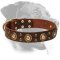 Rottweiler Stylish Collar with Brass Decorations