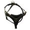 Tracking Leather Harness for Rottweiler