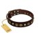 "Street Fashion" FDT Artisan Brown Leather Rottweiler Collar Adorned with Circles and Skulls
