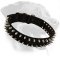 Black Nylon Spiked Collar for Rottweiler