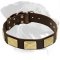 Royal Leather Rottweiler Collar with Vintage Massive Plates