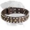 Excellent Rottweiler Leather Collar with pyramids and studs