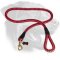 Nylon Cord Rottweiler Leash with Brass Hardware
