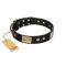 "Antique Gloss" FDT Artisan Black Leather Rottweiler Collar with Bronze-like Plates and Small Studs