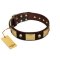 "Heavy Metal" FDT Artisan Brown Leather Rottweiler Collar with Old Bronze-like Skulls and Plates