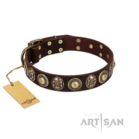 Beautiful leather dog clearance collars