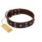 "Skull Valley" Handcrafted FDT Artisan Brown Leather Rottweiler Collar with Skulls