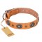 'Twinkle Twinkle' FDT Artisan Incredible Studded Tan Leather Rottweiler Collar with Silver-Like Circles