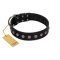 "Silver Flower" Exclusive FDT Artisan Black Leather Rottweiler Collar with Silver-Like Studs