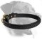 Rottweiler Superb Braided Leather Rottweiler Collar
