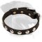 Elegant Thin Rottweiler Collar with Beautiful Nickel Studs