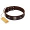 "Cold Star" Designer FDT Artisan Brown Leather Rottweiler Collar with Silver-Like Adornments