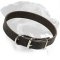 Everyday Leather Collar for Rottweiler