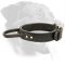 Training Leather Rottweiler Collar with Handle