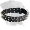 Stunning Spiked Leather Dog Collar for Rottweiler