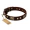 "Magic Amulet" Brown Leather Rottweiler Collar with Skulls and Plates