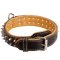 Sophisticated Rottweiler Spiked Leather Collar with Soft Padding