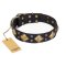 "Fancy-Schmancy" FDT Artisan Kingly Black Leather Rottweiler Collar
