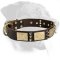 Gorgeous Rottweiler Leather Collar with Spikes and Plates