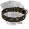 Fancy Leather Rottweiler Collar for Walking in Style