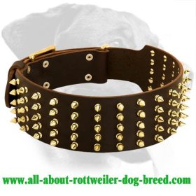 Extra Wide Deluxe Leather Collar for Rottweiler