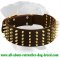 Extra Wide Deluxe Leather Collar for Rottweiler