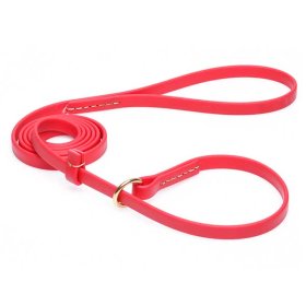 Durable Red Biothane Rottweiler Leash and Collar Combo