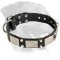 Rottweiler Exclusive Plated Leather Collar