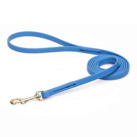 Amazing Blue Biothane Rottweiler Leash for Walking, Tracking