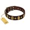 "Retro Pusle" FDT Artisan Brown Leather Rottweiler Collar with Old Bronze-like Studs and Oval Brooches