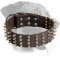 Spectacular Leather Spiked Collar for Rottweiler