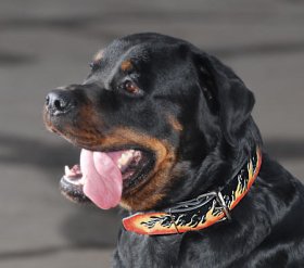 Rottweiler Hand Painted Flamy Leather Collar