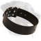 Extra Wide Leather Collar for Rottweiler