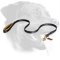 Nylon Rottweiler Leash with Padded Handle