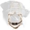 Guide & Assistance White Leather Guide Rottweiler Harness