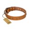 'Autumn Story' FDT Artisan Tan Leather Rottweiler Collar with Old Bronze Look Studs - 1 1/2 inch (40 mm) wide