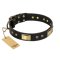 FDT Artisan 'Black Sun' Leather Rottweiler Collar with Brass Plated Decorations - 1 1/2 inch (40mm) wide